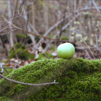 CHASSE ET POMME